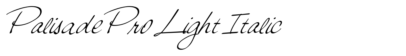 Palisade Pro Light Italic